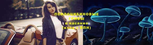 ECSTASY Майский