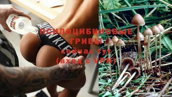 соль ск Мегион