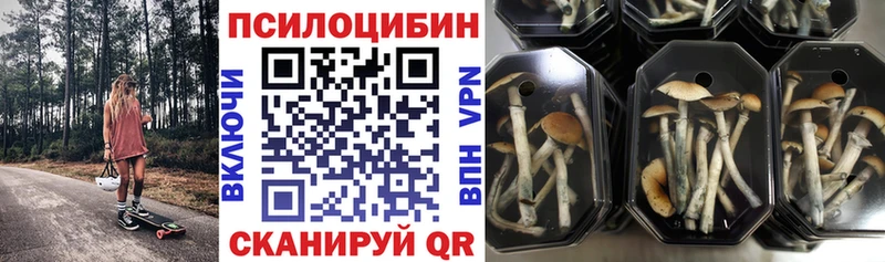 Купить закладки  Моршанск  Галлюциногенные грибы GOLDEN TEACHER 